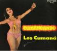 /album/fotogaleria-de-la-musica-tropical-de-chile/a10157335-652055014868341-2686591975288236393-n-png/